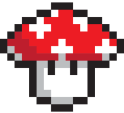 Shroom.Finance